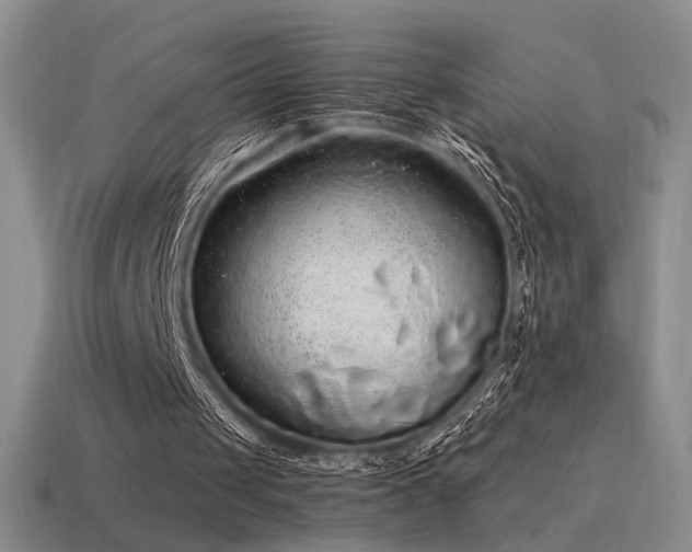 X0000115480049200911061225