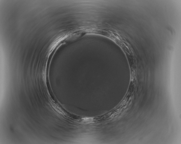 X0000115480052200911061225