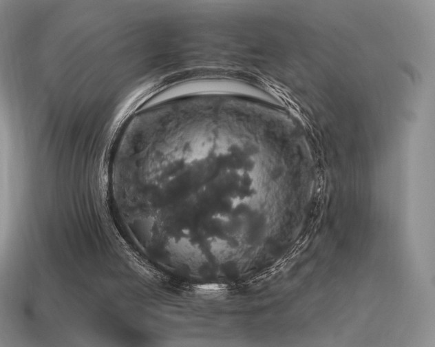 X0000115480053200911061225