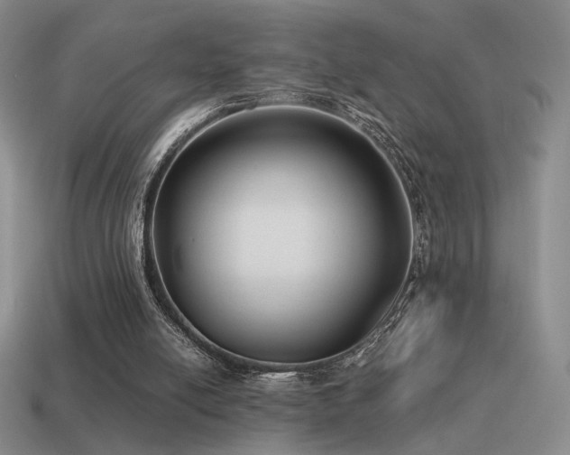 X0000115480054200911061225