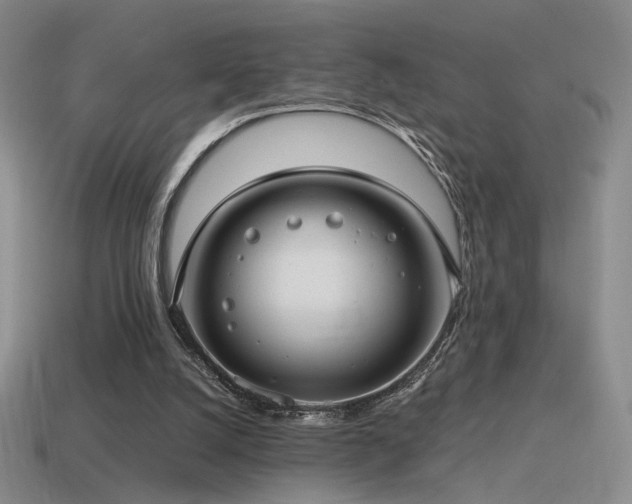 X0000115480056200911061225