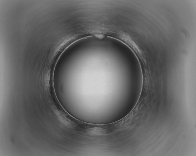 X0000115480058200911061225