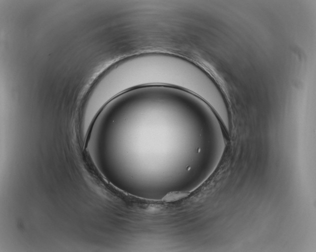 X0000115480060200911061225