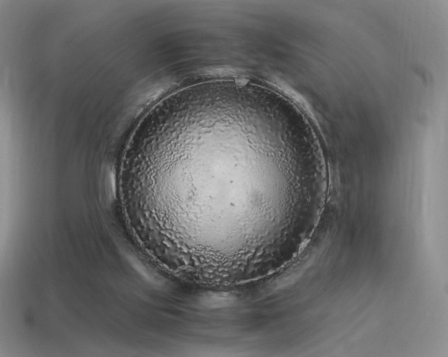 X0000115480061200911061225