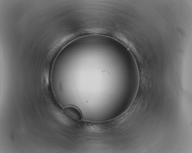 X0000115480062200911061225