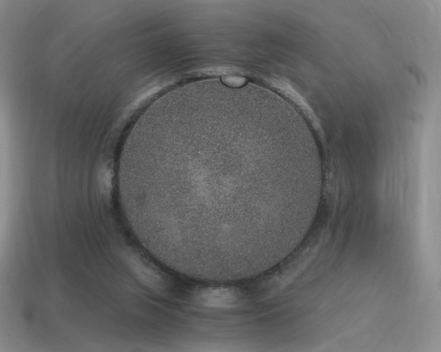 X0000115480063200911061225