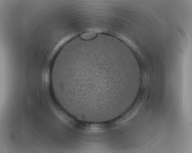 X0000115480064200911061225