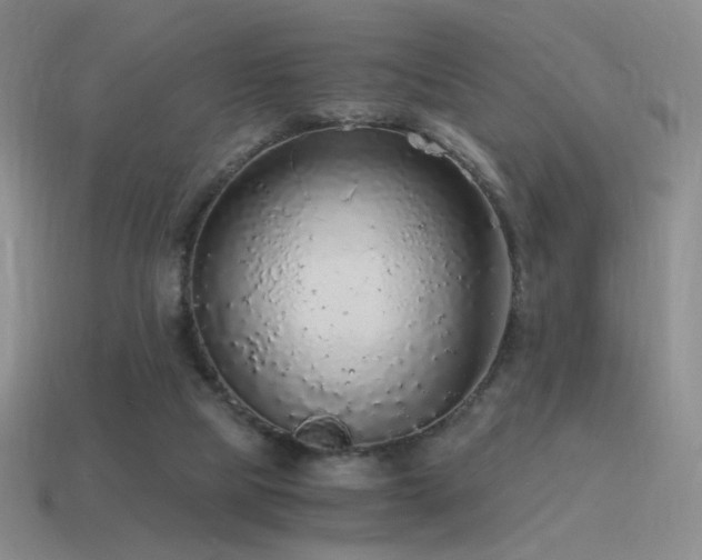 X0000115480065200911061225