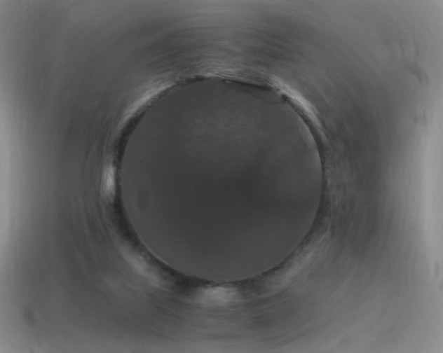 X0000115480067200911061226