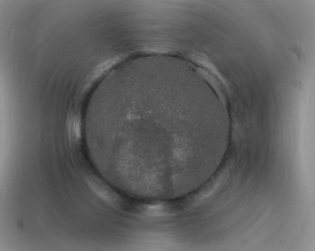 X0000115480068200911061226