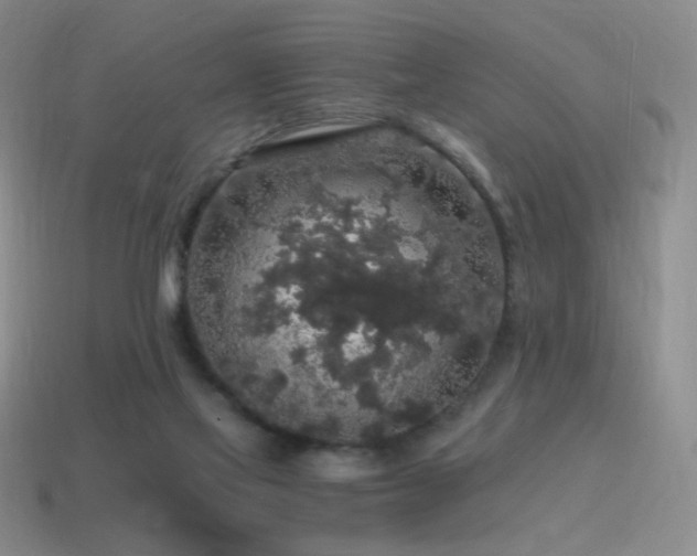 X0000115480069200911061226