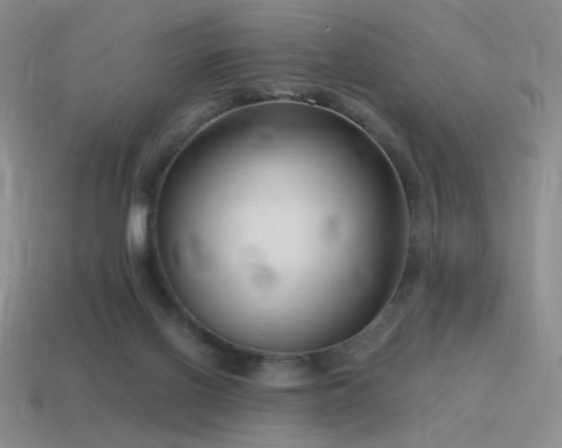 X0000115480070200911061226