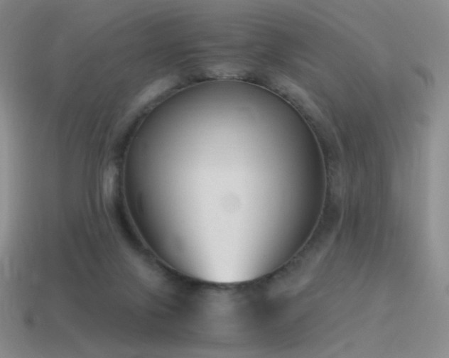 X0000115480071200911061226