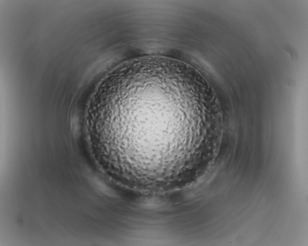 X0000115480074200911061226