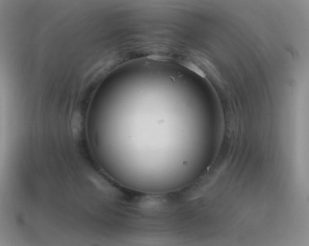 X0000115480077200911061226