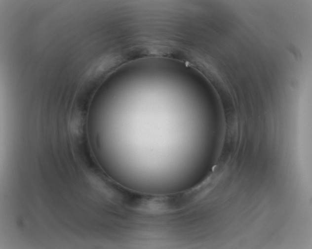 X0000115480078200911061226