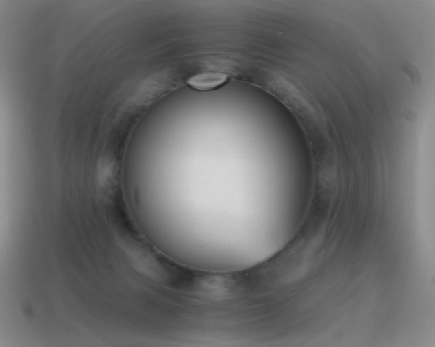 X0000115480079200911061226