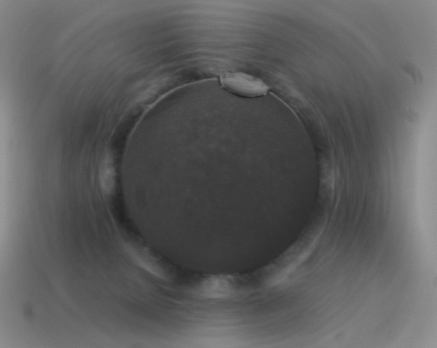 X0000115480080200911061226