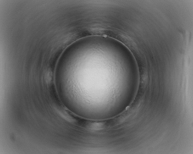 X0000115480081200911061226