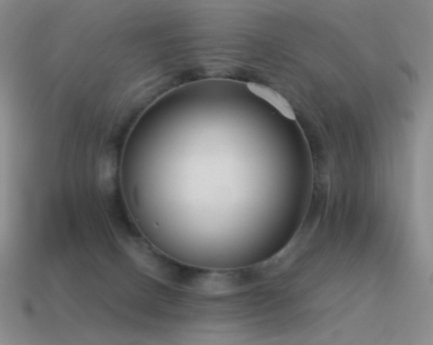 X0000115480082200911061226