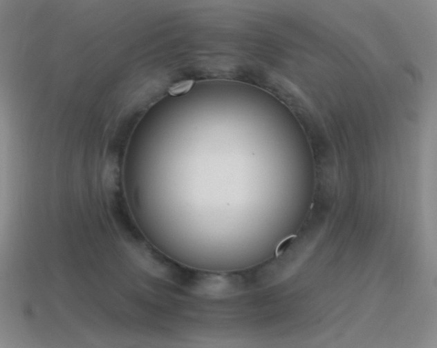 X0000115480083200911061226