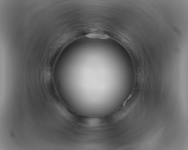 X0000115480085200911061226