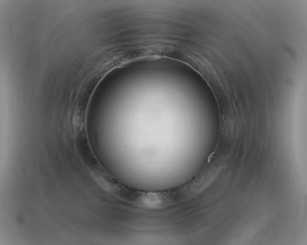 X0000115480091200911061226