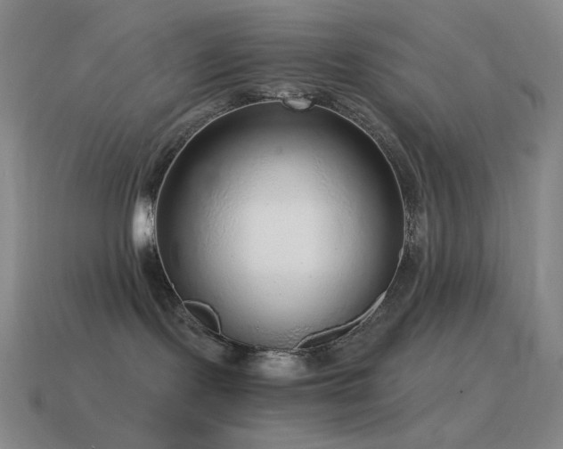 X0000115480095200911061226