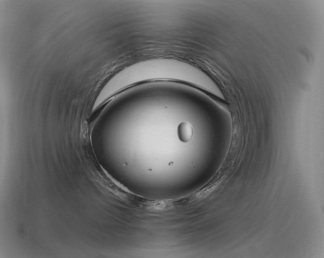 X0000115480096200911061226