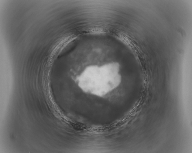 X0000115480097200911061225