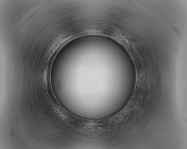 X0000115480098200911061225