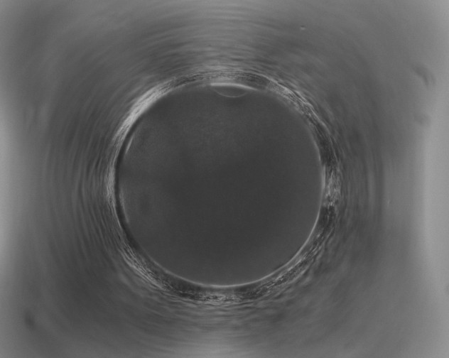 X0000115480099200911061225