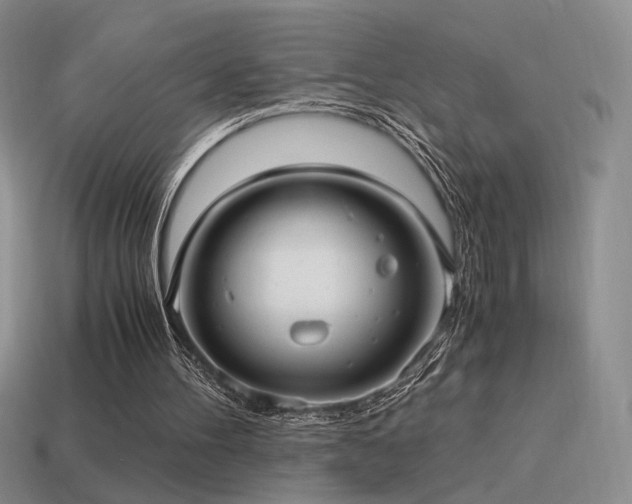 X0000115480100200911061225