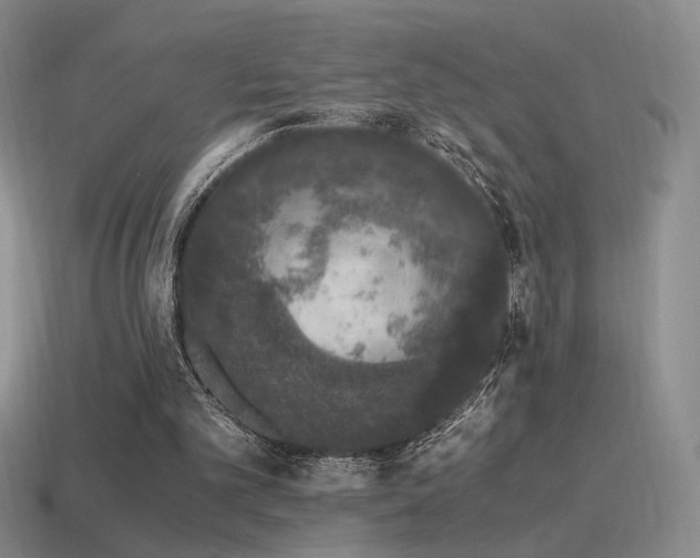 X0000115480101200911061225