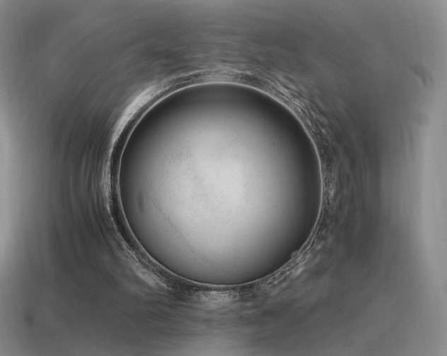 X0000115480102200911061225