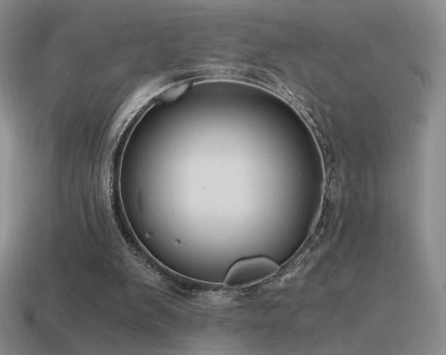 X0000115480103200911061225