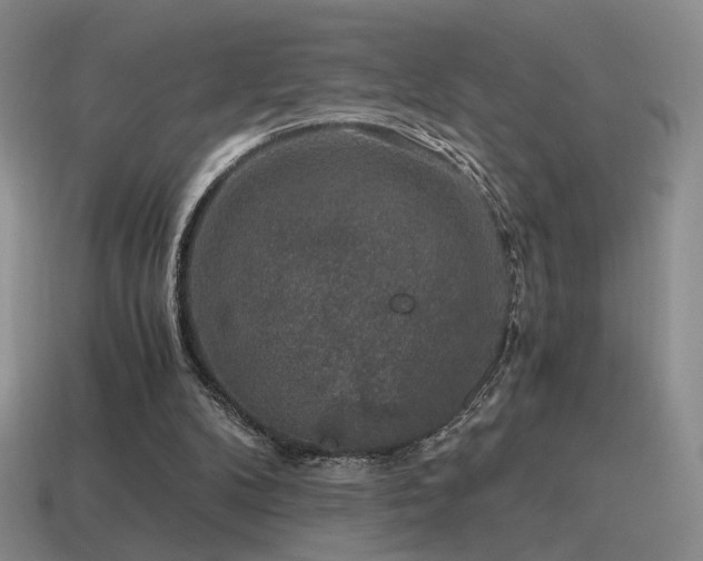 X0000115480104200911061225