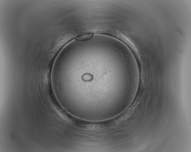 X0000115480105200911061225