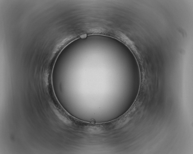 X0000115480106200911061225