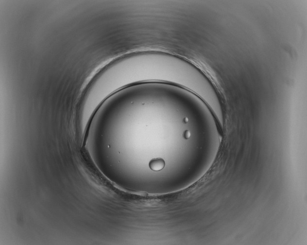 X0000115480108200911061225