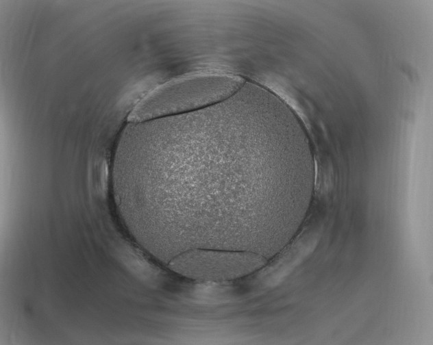 X0000115480109200911061225