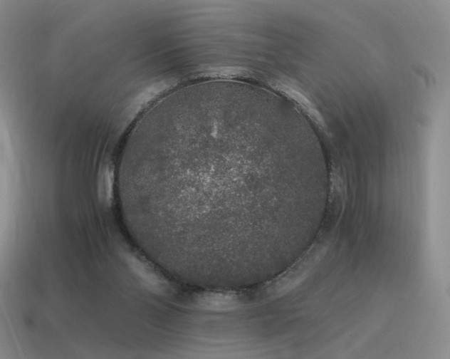 X0000115480110200911061225