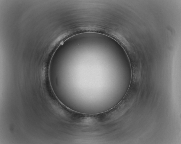 X0000115480111200911061225