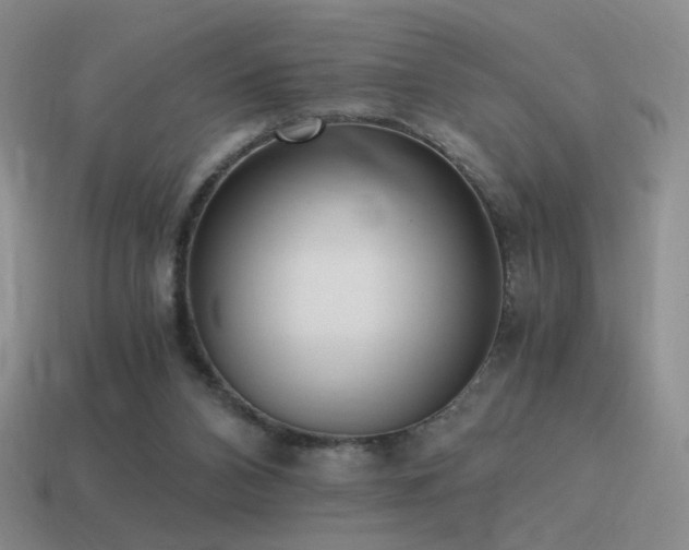 X0000115480112200911061225