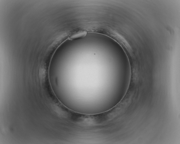 X0000115480113200911061225