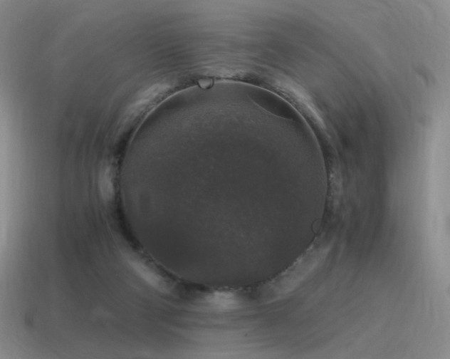 X0000115480114200911061225