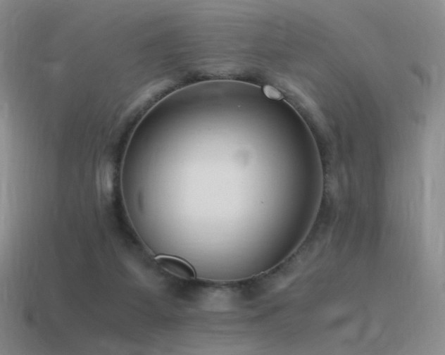 X0000115480115200911061225