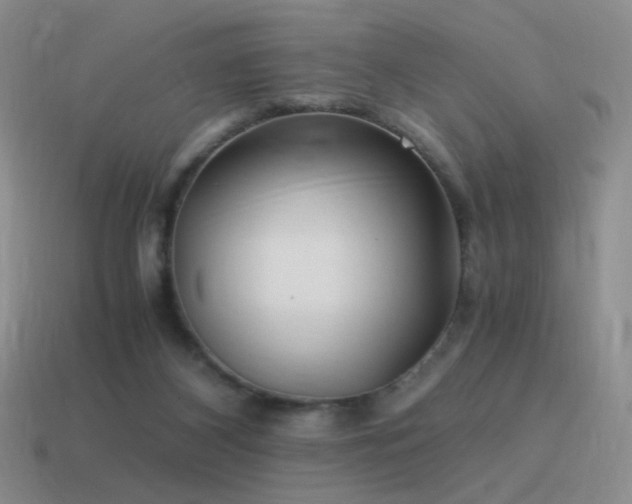 X0000115480116200911061225