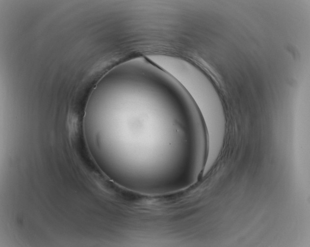 X0000115480117200911061225