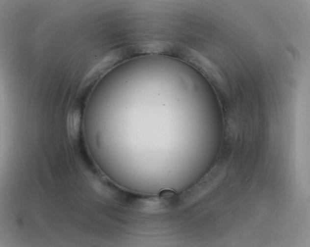 X0000115480118200911061225